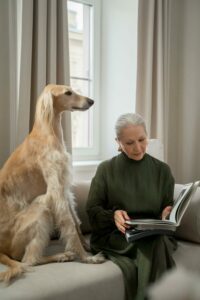 Orient Windhund sitzt auf einem Sofa neben einer älteren Frau die ein Buch liest