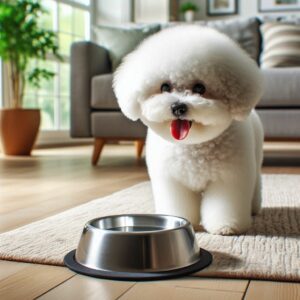 Bichon Frisé zeigt Anzeichen von Appetitlosigkeit und Unwohlsein was ein erstes Indiz für Blasensteine bei Hunden sein kann