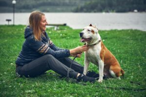 Ein braun-weißer American Staffordshire Bullterrier sitzt mit seinem Frauchchen auf der Wiese vor einem See