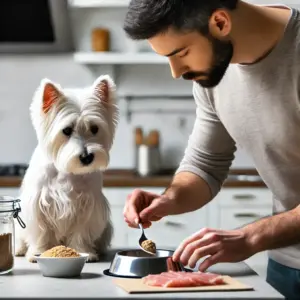 Hundebesitzer bereitet eine hypoallergene Mahlzeit für einen weißen West Highland Terrier im Rahmen einer Ausschlussdiät zu, um Futtermittelallergien zu diagnostizieren