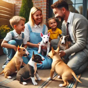 Eine Familie besucht einen Miniatur Bullterrier Züchter und trifft auf mehrere Miniatur Bullterrier Welpen in verschiedenen Farben, die in einem gemütlichen Außenbereich spielen